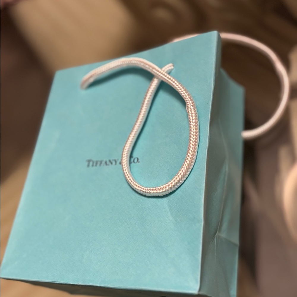 Tiffany & Co. Blue Gift Bag